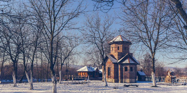 Дрина милује прелепу богомољу